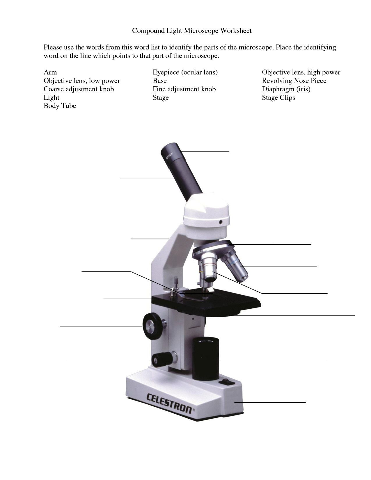 Microscope Parts And Use Worksheet Key