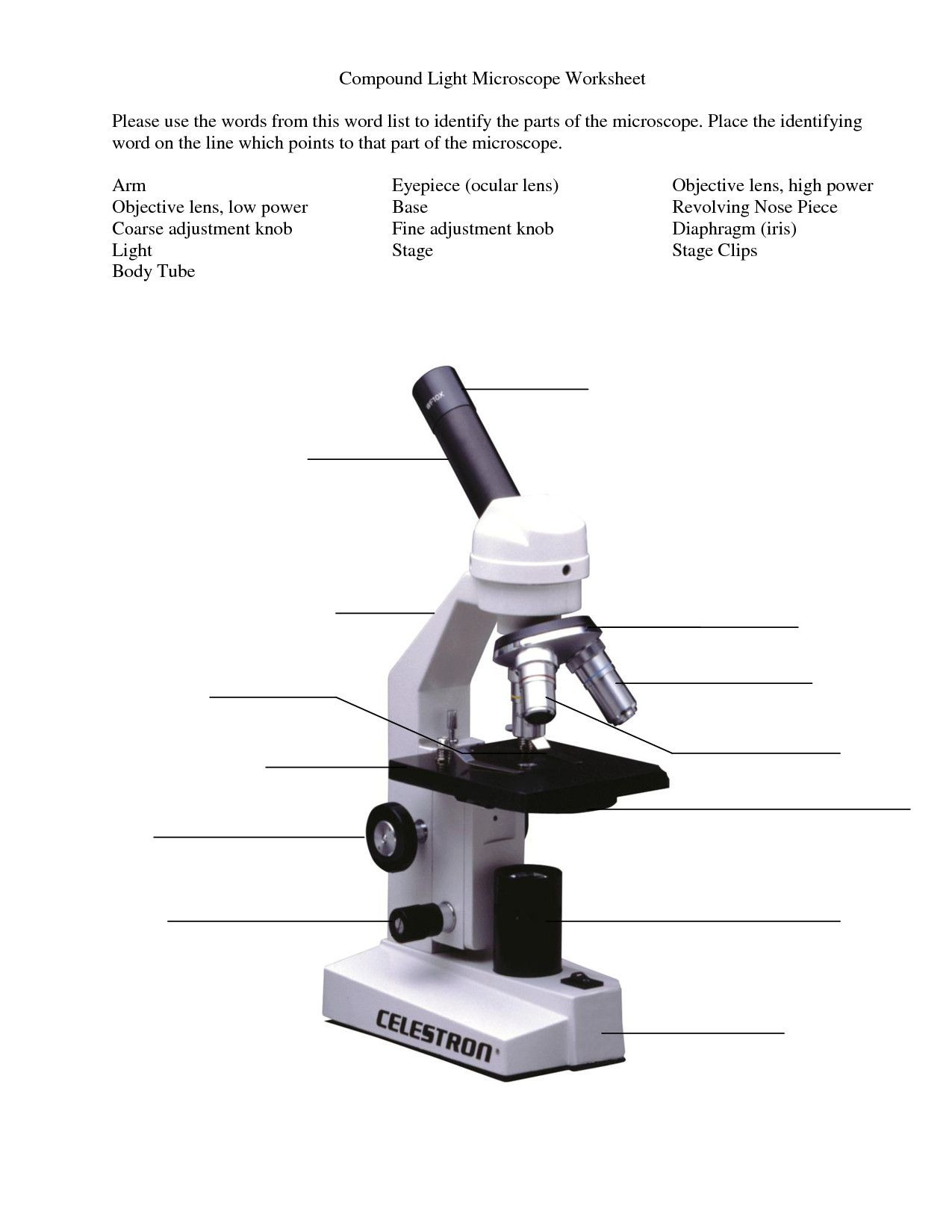 Parts Of A Microscope Worksheet Answers Db excel