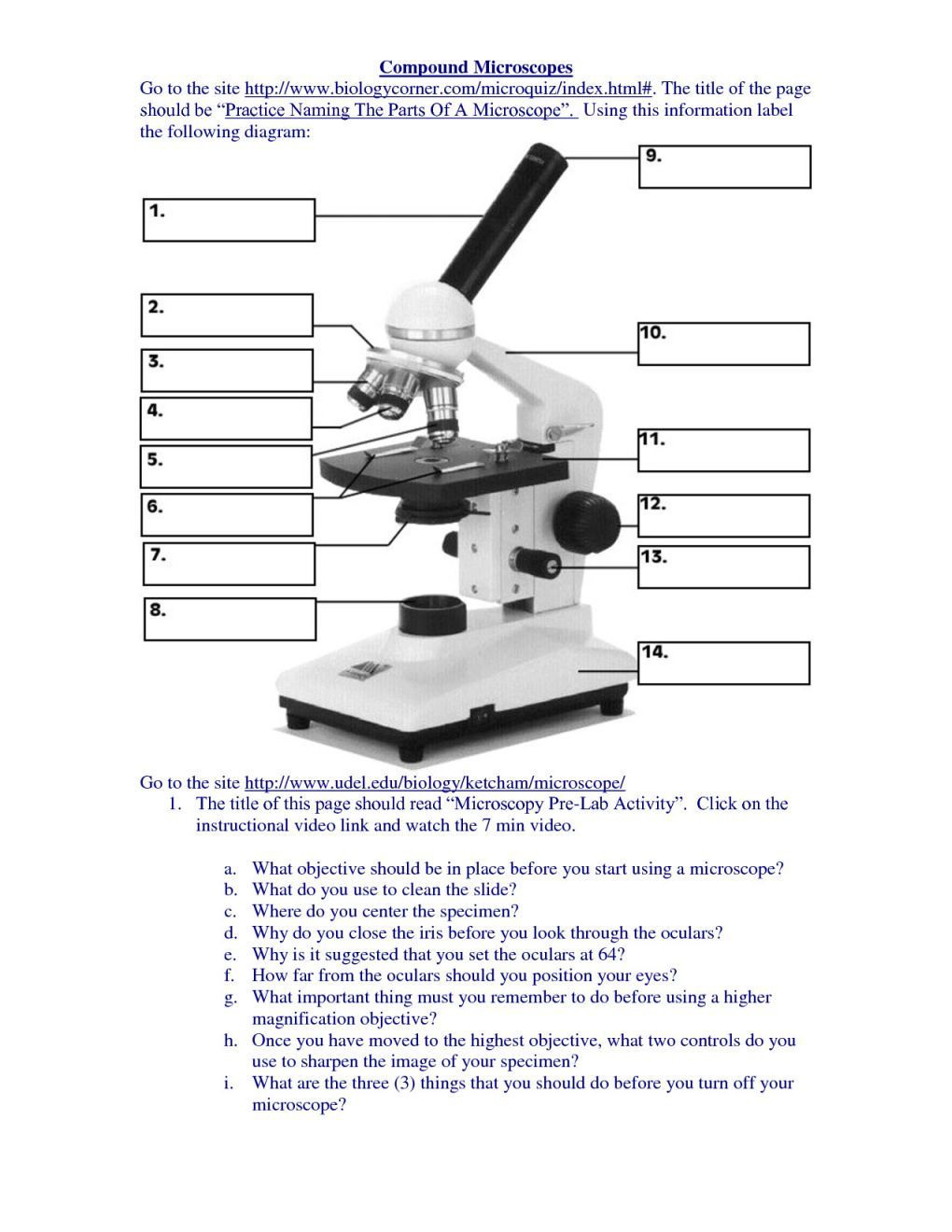 Microscope Parts Worksheet Excel Worksheet Prime