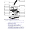 Microscope Parts Worksheet Excel Worksheet Prime