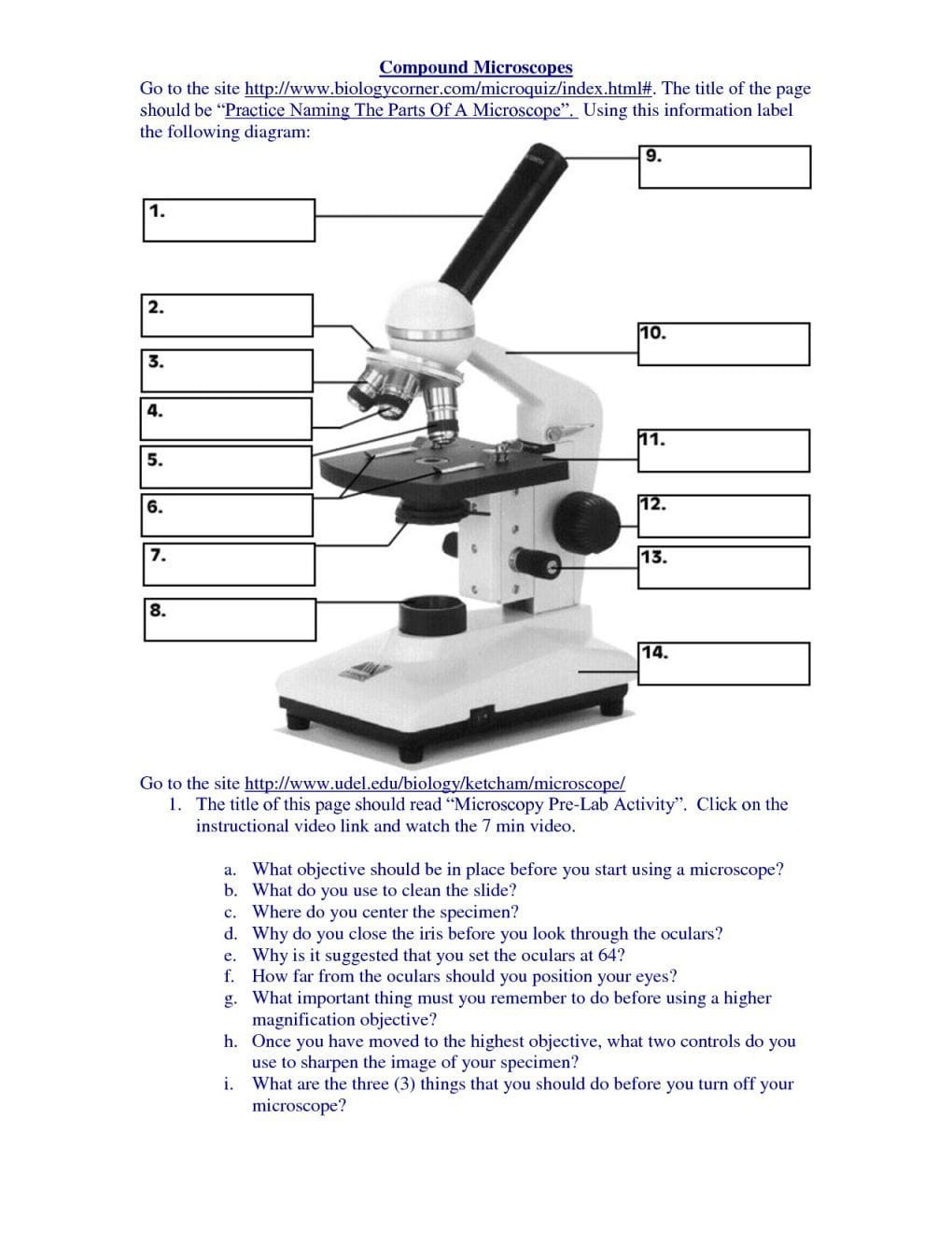 Microscope Parts And Functions Worksheets