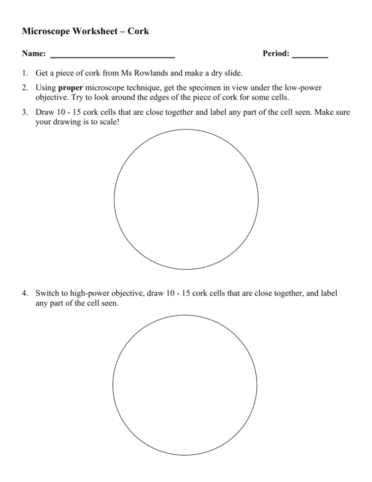 Microscope Slide Observation Worksheet — db-excel.com