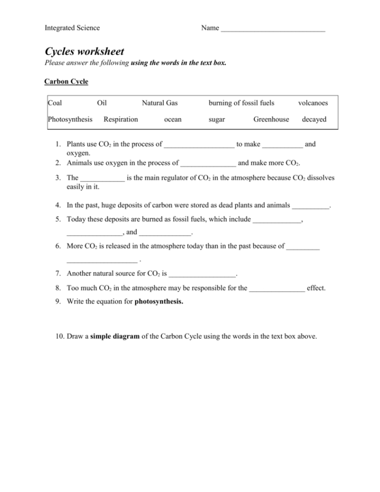 Microsoft Word  Cycles Worksheetdoc