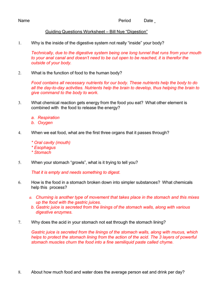 Bill Nye The Science Guy Energy Worksheet