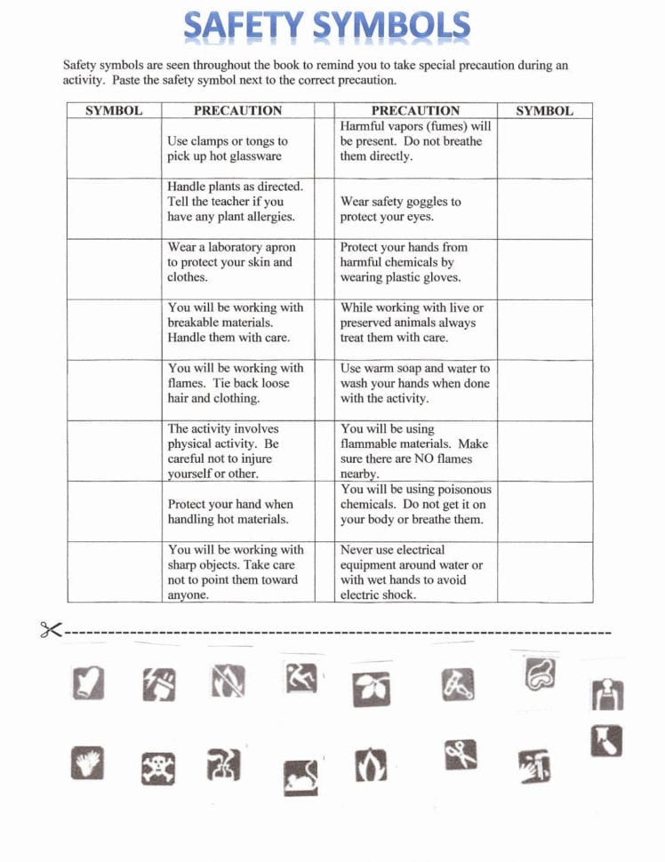 Middle School Lab Equipment Worksheet