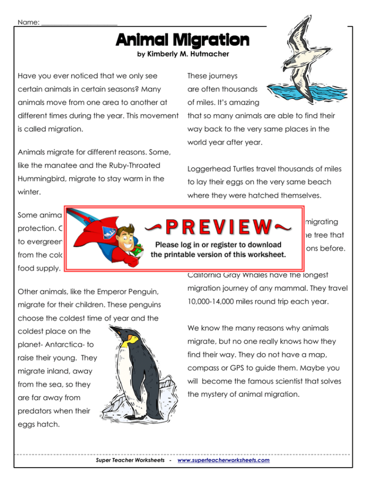 Migration  Super Teacher Worksheets