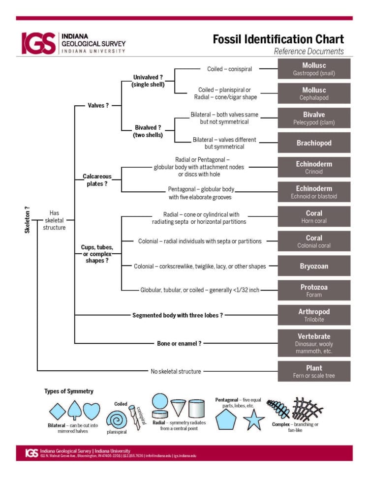 Mineral Identification Worksheet