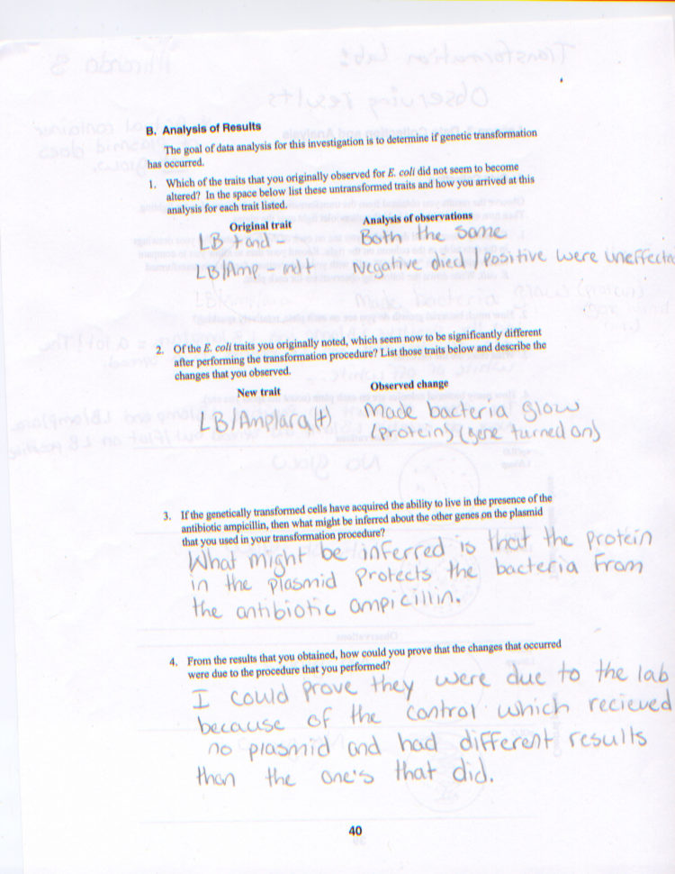 Mirandasbiologyblog  A Great Wordpress Site