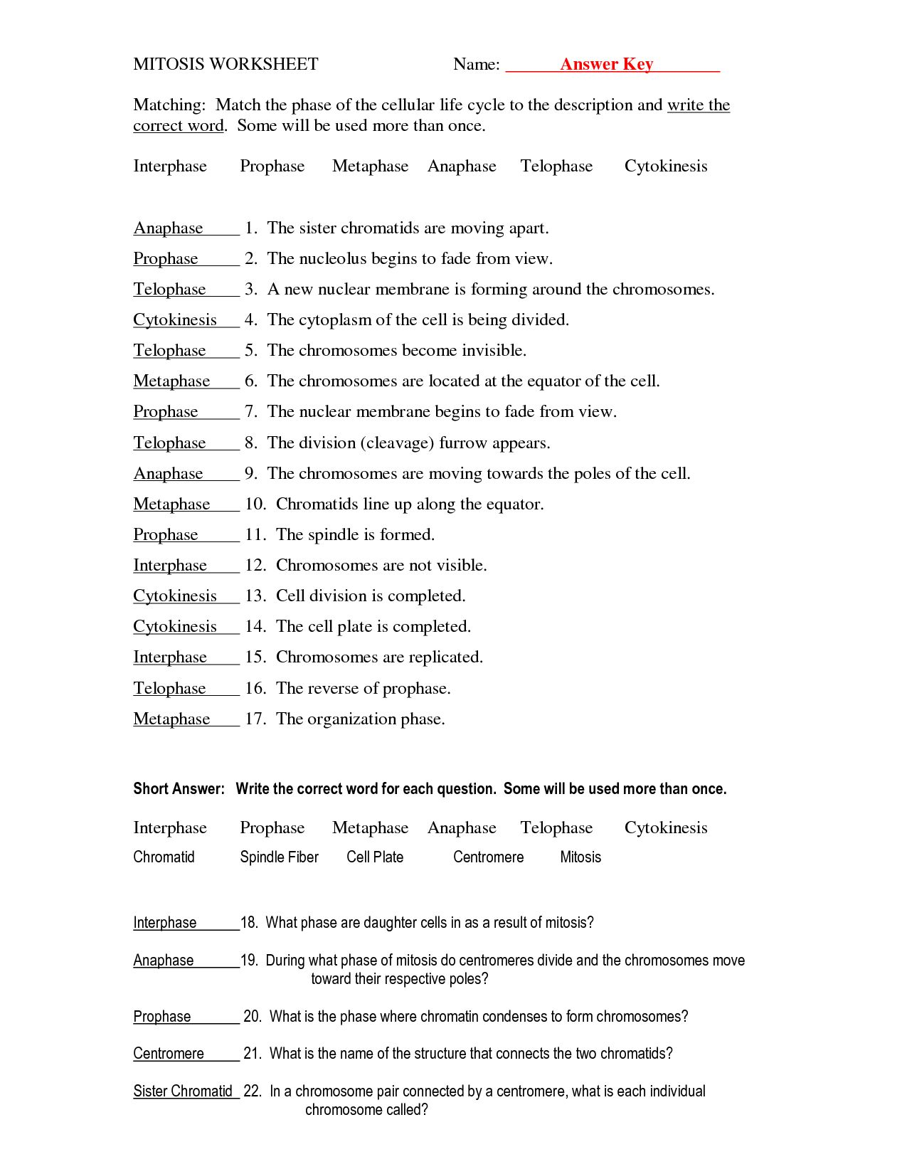 Mitosis And Meiosis Worksheet Answer Key db excel com