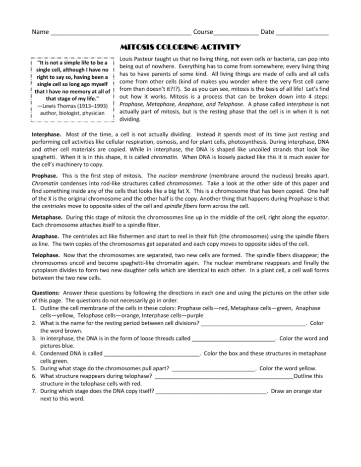 Mitosis Coloring Worksheet Answer Key