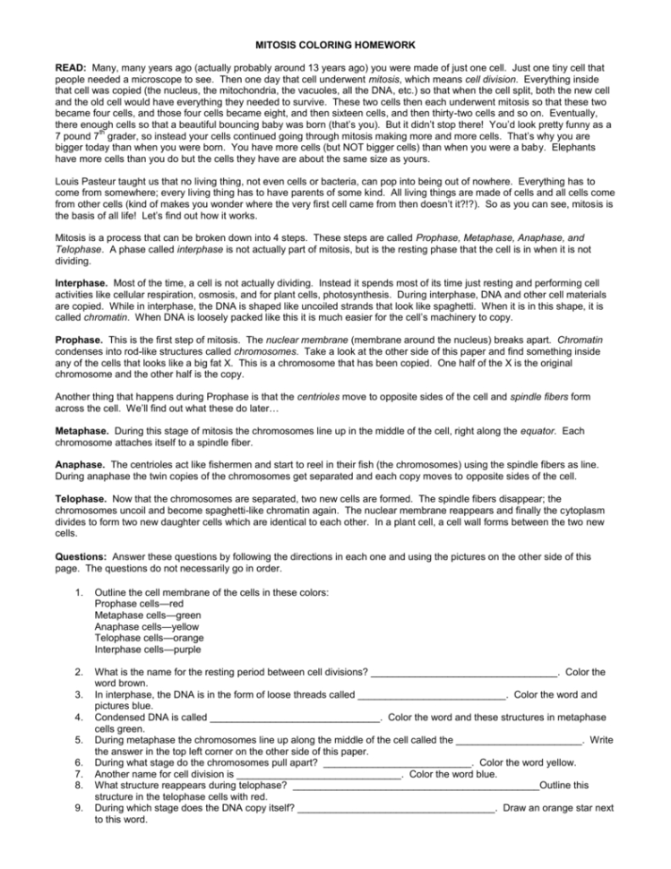 Mitosis Coloring Homework