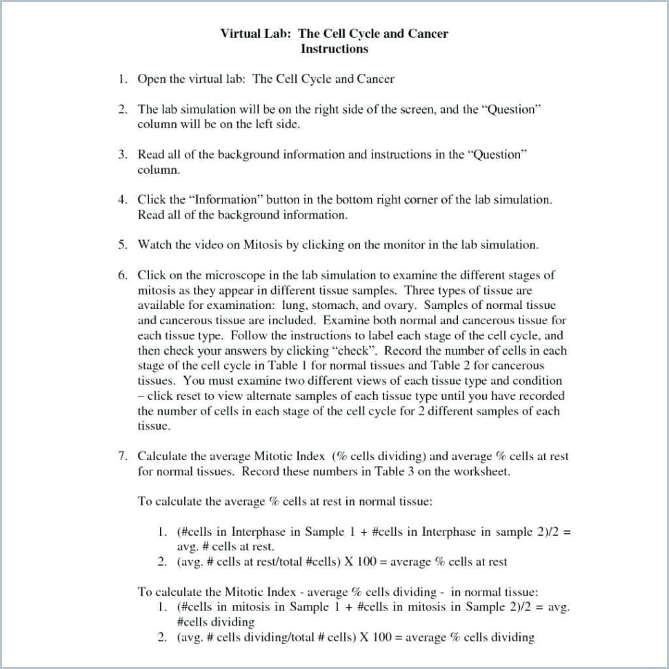 Mitosis Coloring Sheets – Lagunapaperco