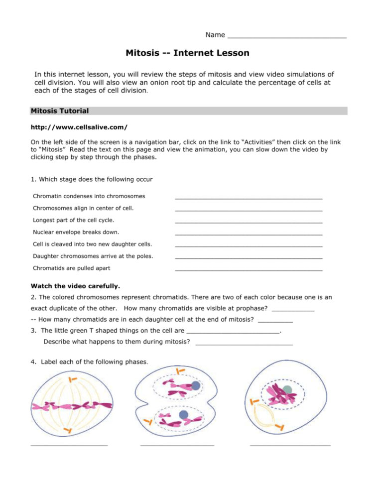 Mitosis Tutorial