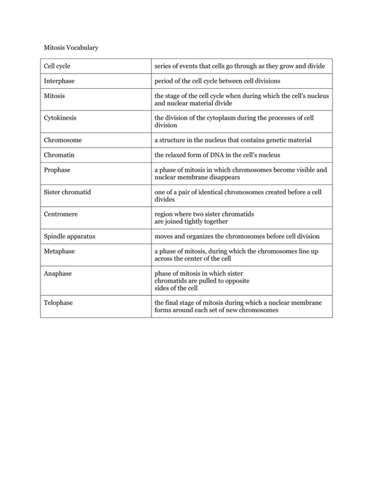 Mitosis Vocabulary