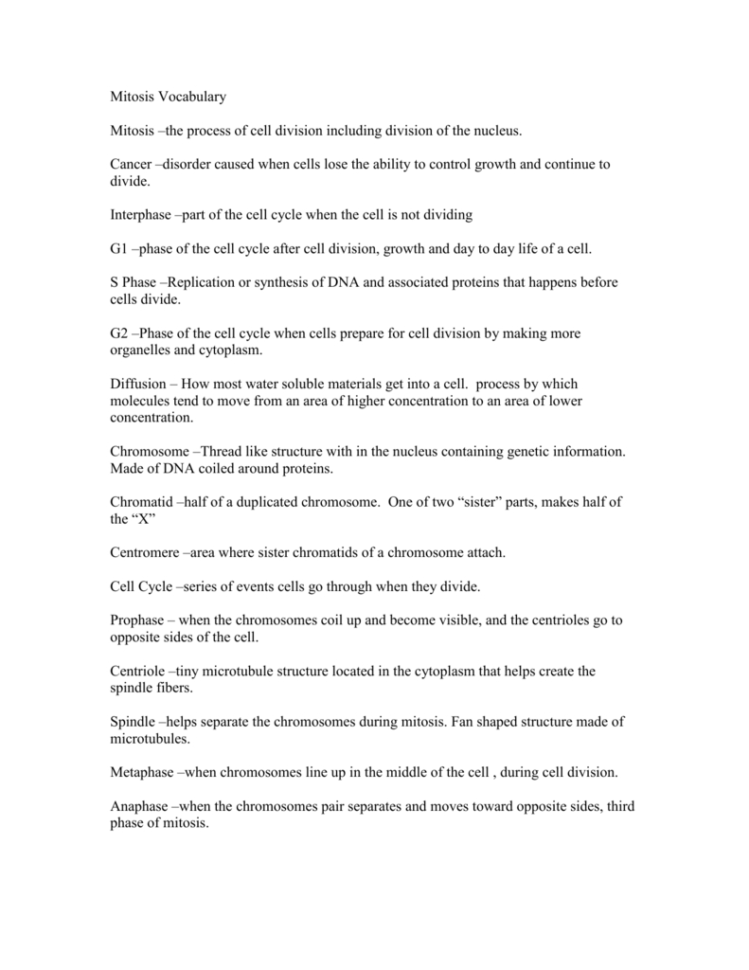 Mitosis Vocabulary