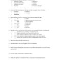 Mitosis Worksheet Phases Of The Cell Cycle Answers