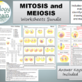 Mitosis Worksheets