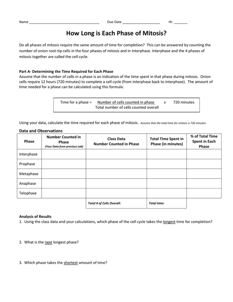 Mitosiscancer Lab Day 2