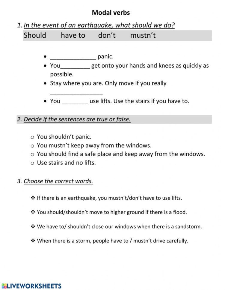 Modal Verbs Online And Pdf Exercise