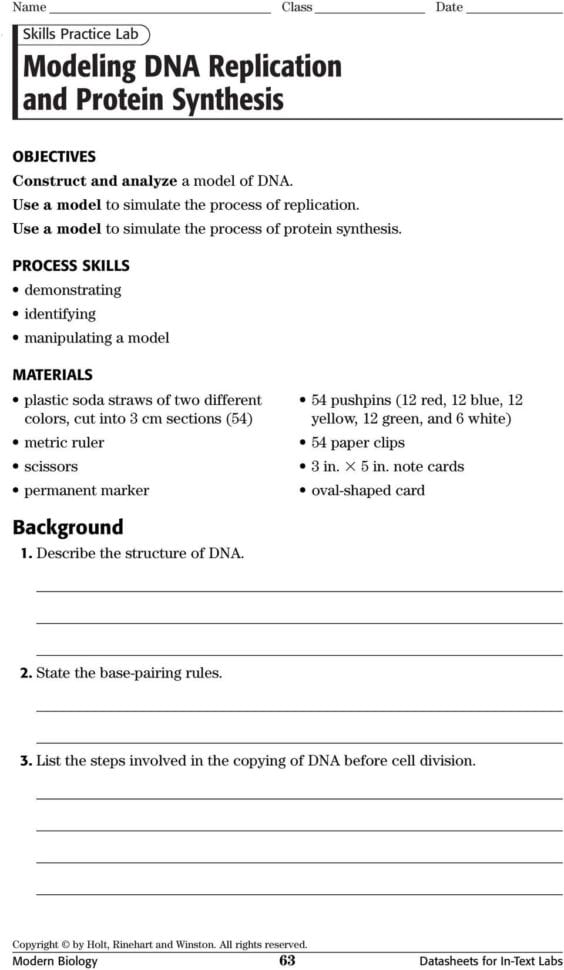 Modeling Dna Replication And Protein Synthesis  Pdf