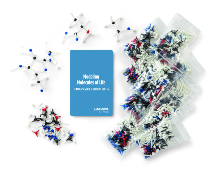 Molecules Of Life Worksheet