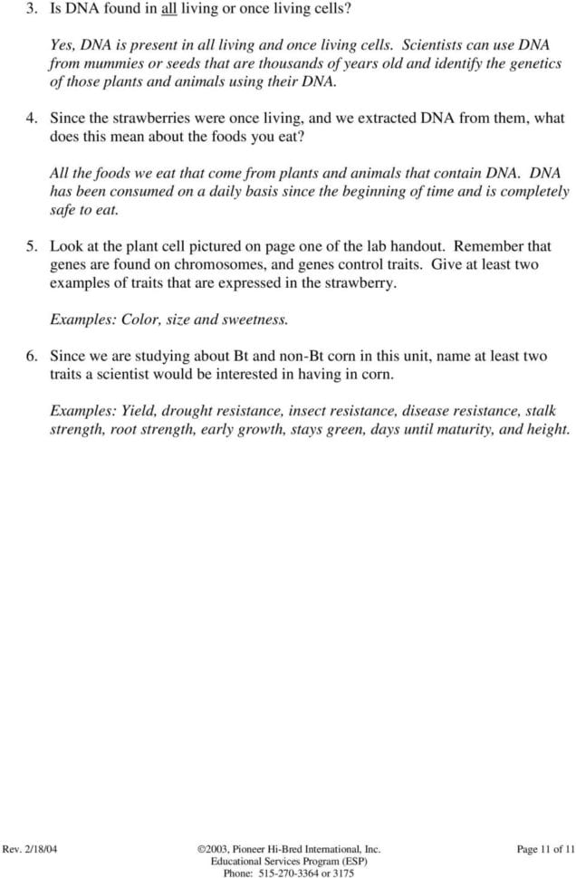 Module 3 Strawberry Dna Extraction  Pdf