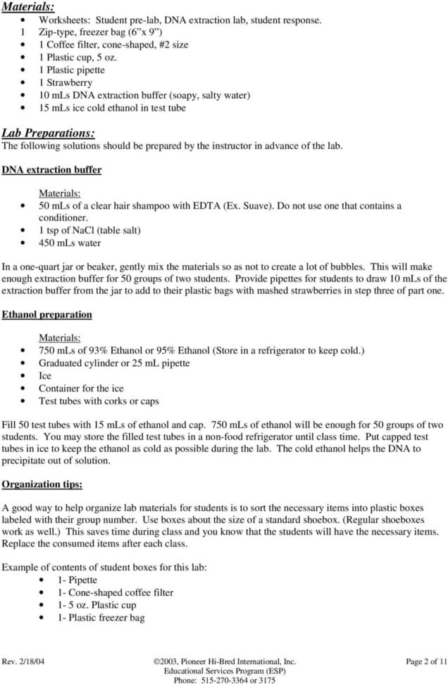 Module 3 Strawberry Dna Extraction  Pdf