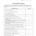 Molecular Compounds Worksheet Answers