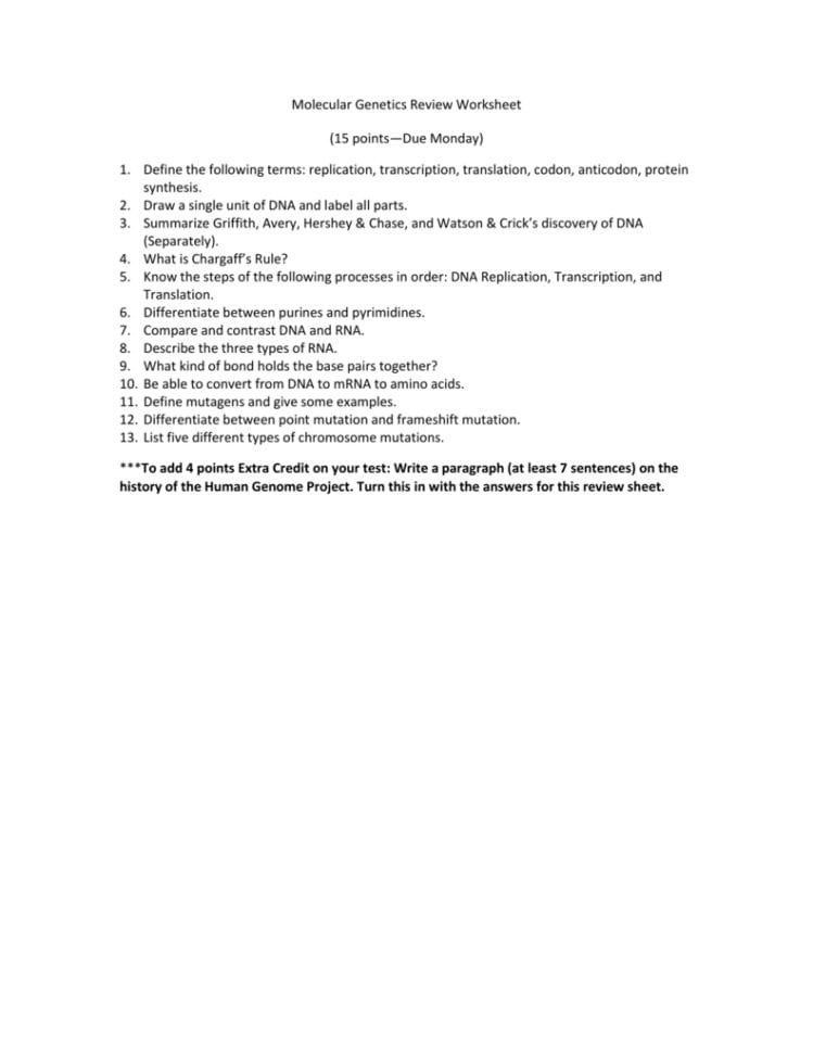Molecular Genetics Review Worksheet 15 Points—Due Monday