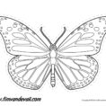 Monarch Butterfly Outline  Tim's Printables