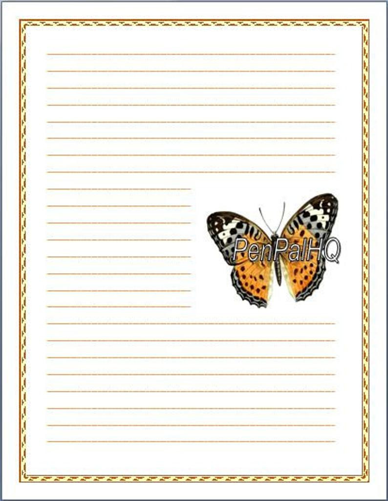 Monarch Butterfly Worksheets Db excel