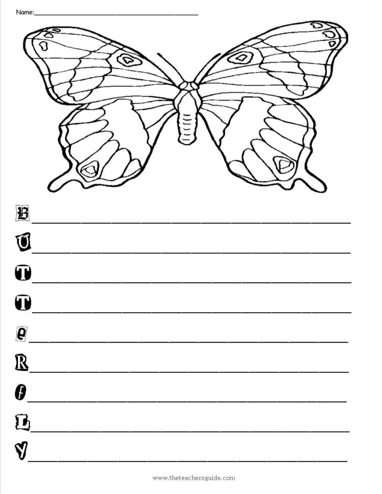 Monarch Butterfly Worksheets