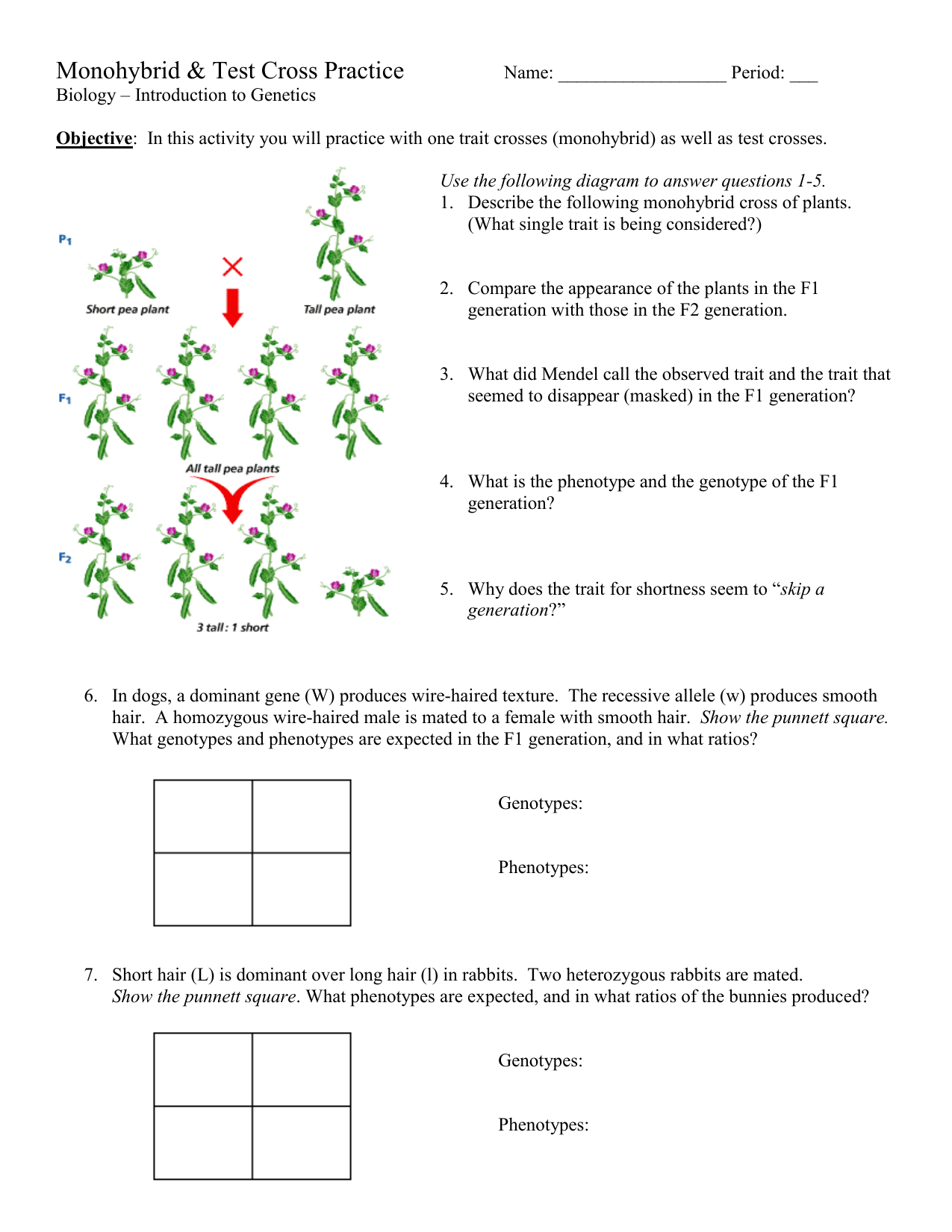 Monohybrid And Test Cross Practice Problems Db excel