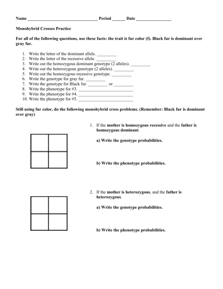 Monohybrid Cross Worksheet Answers