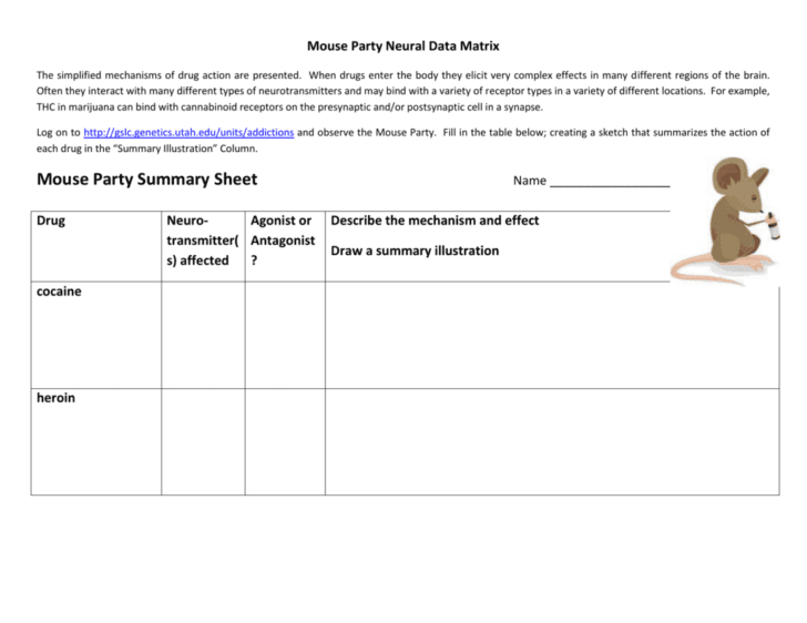 Mouse Party Worksheet Answers db excel com
