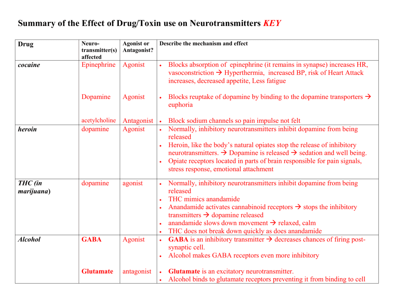 Mouse Party Summarythe Effect Of Drug Use On Neurotransmitters