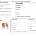Muscular System Worksheet Answers Algebra 1 Worksheets