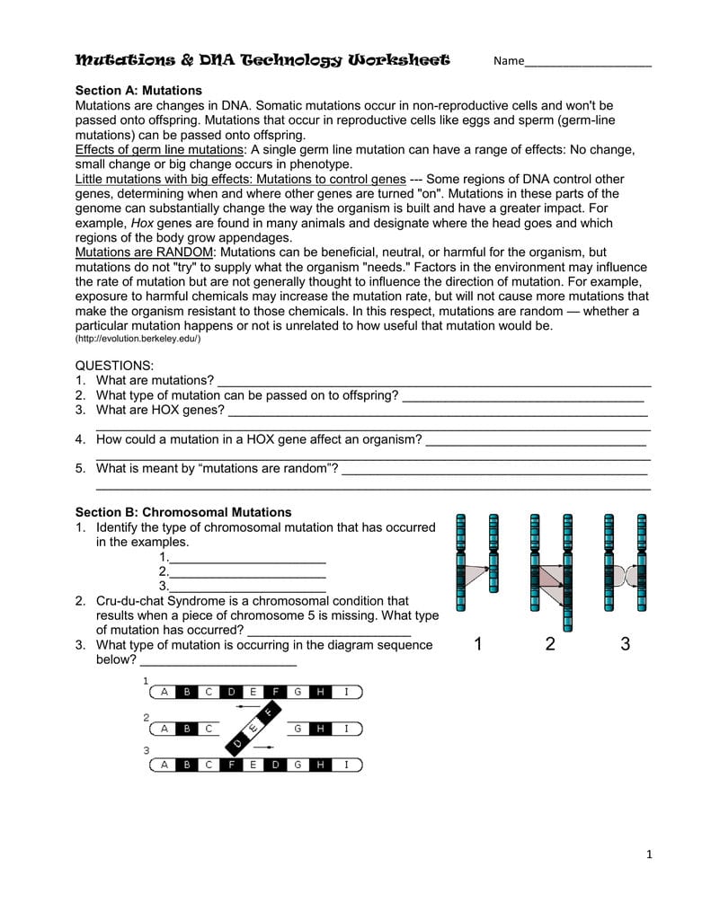 Mutations  Dna Technology Worksheet