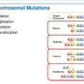 Mutations Read The Lesson Title Aloud To Students  Ppt