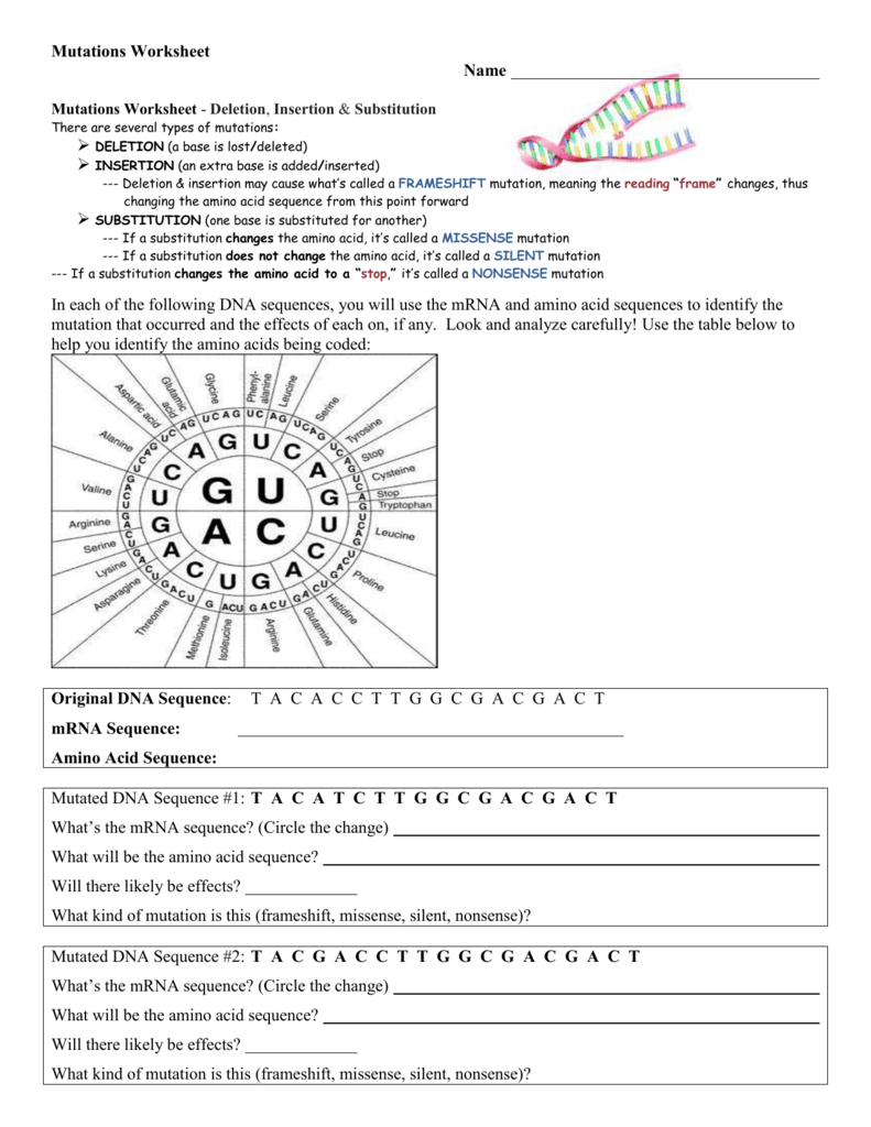 Types Of Mutations Worksheet Answers