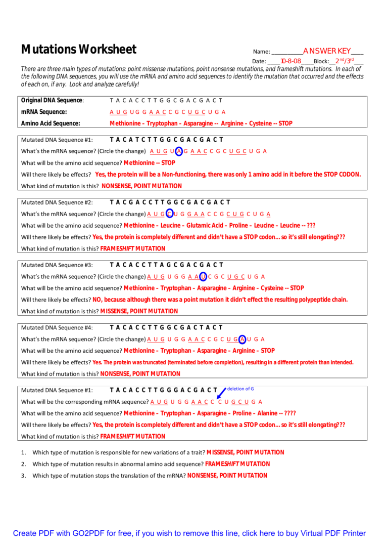 Types Of Mutations Worksheet db excel com