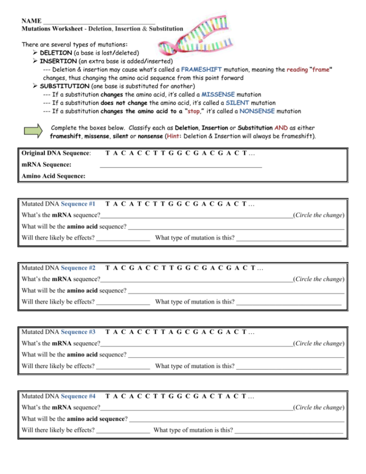 Mutations Worksheet