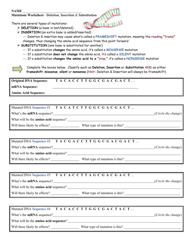 Mutations Worksheet