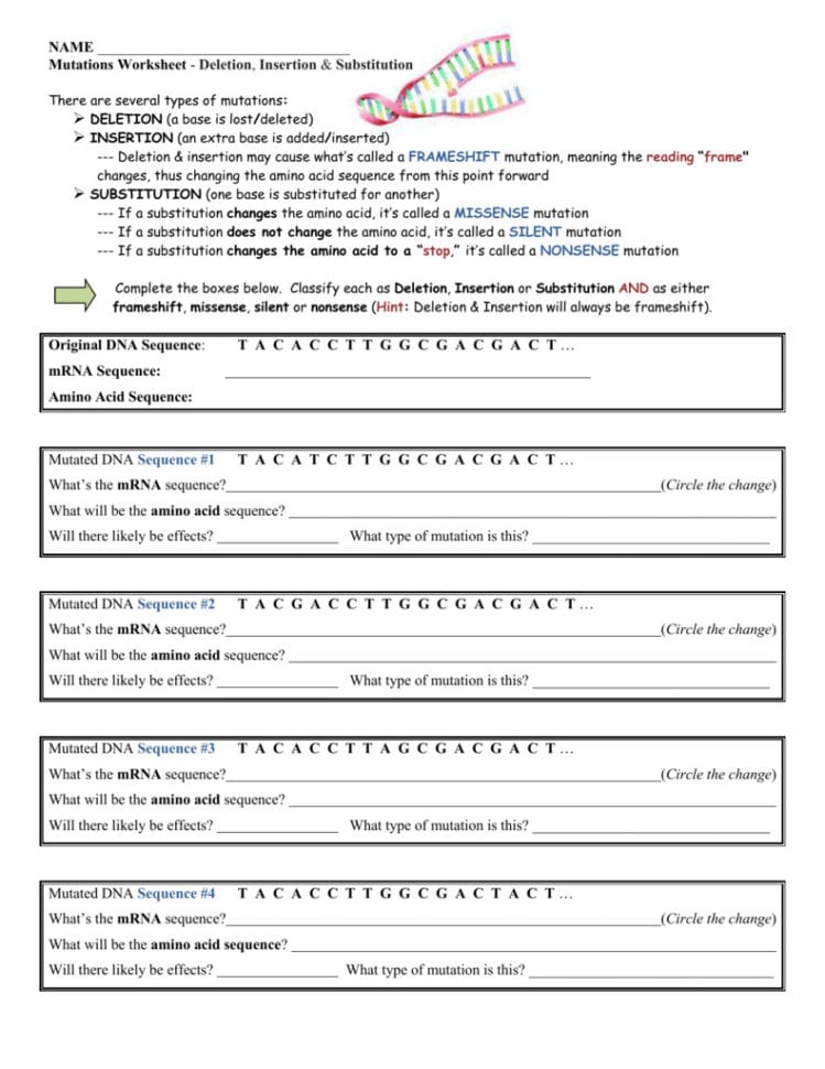 Mutations Worksheet Mutations Worksheet Deletion Insertion