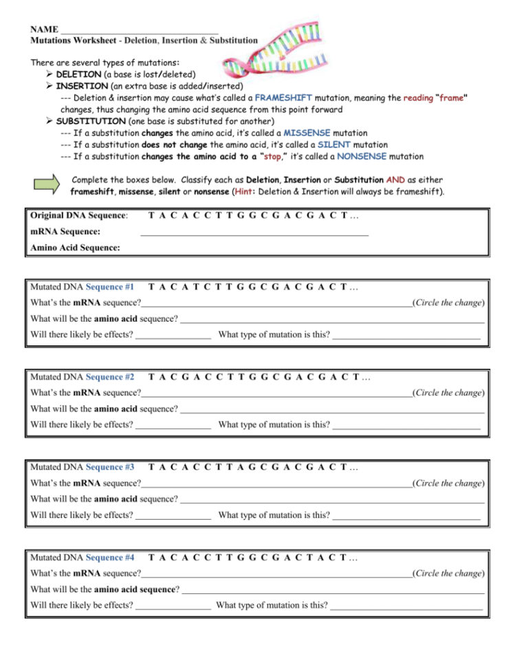 Mutations Worksheet Mutations Worksheet Deletion Insertion And