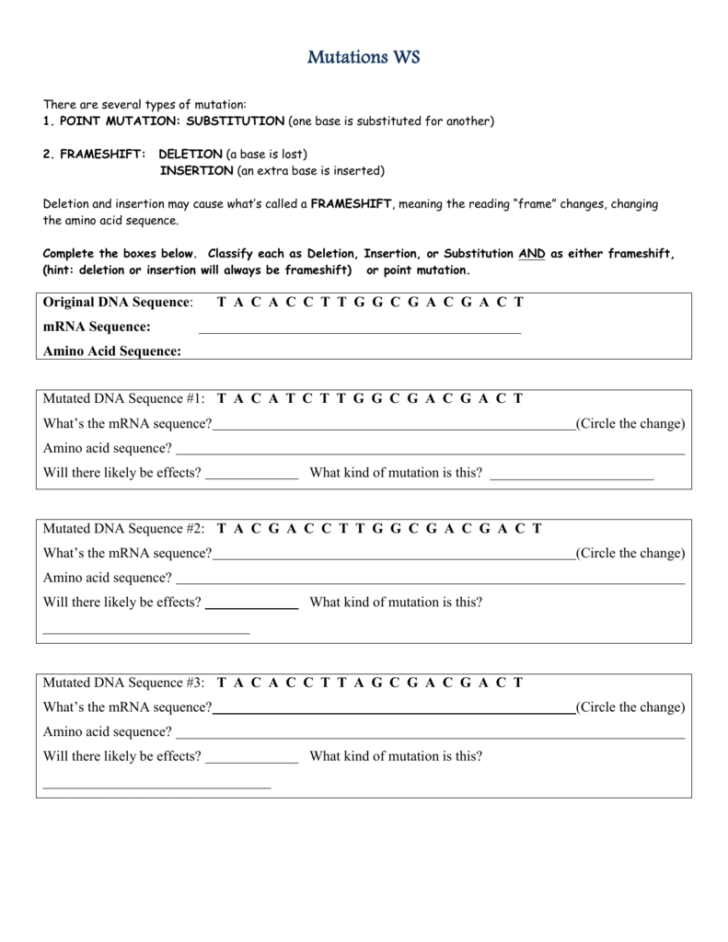 Mutations Worksheet Deletion Insertion And Substitution Answers