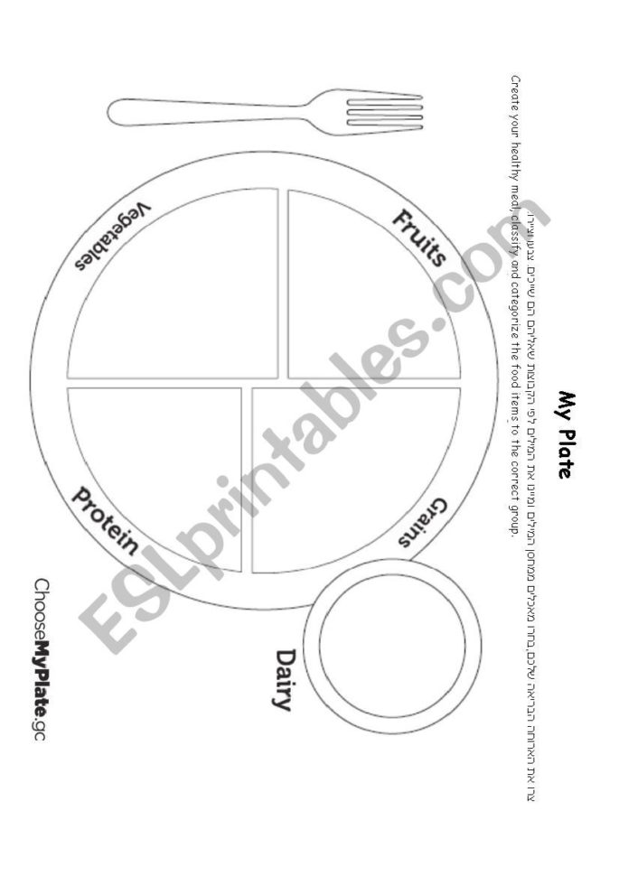 My Plate Worksheet Esl Worksheetnadin Tfra — Db-excel.com