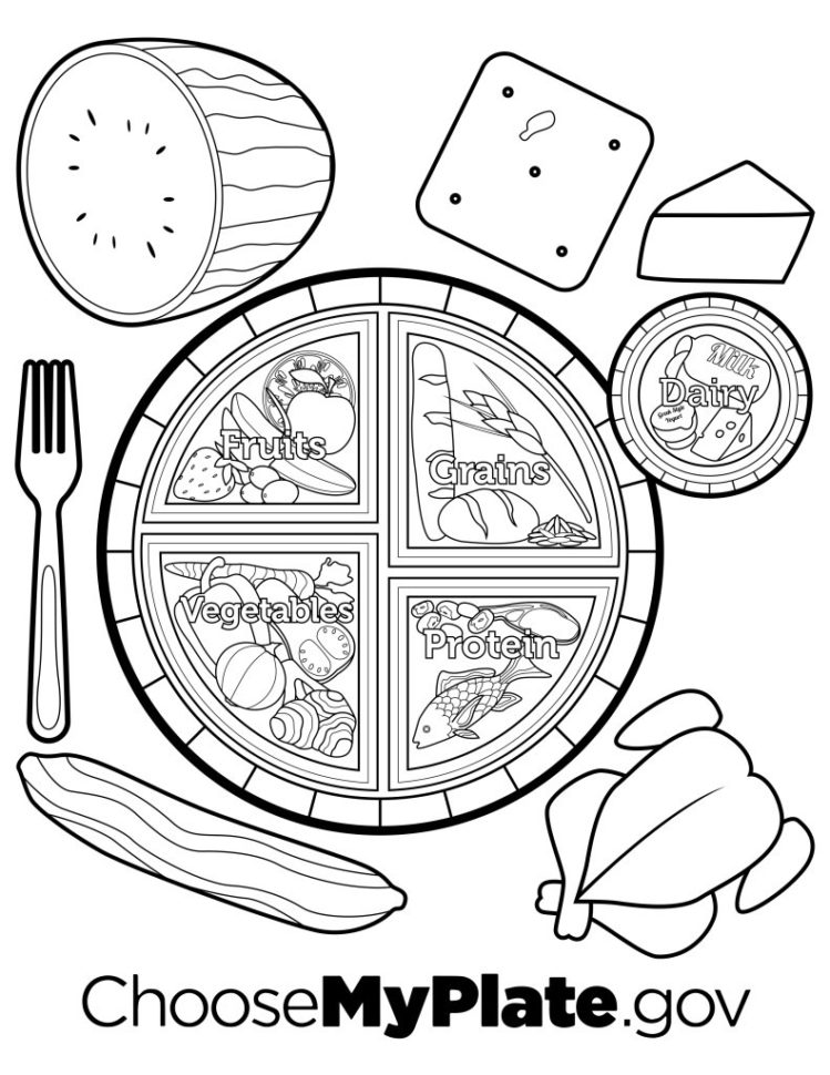 Myplate Coloring Page  Nutritioneducationstore