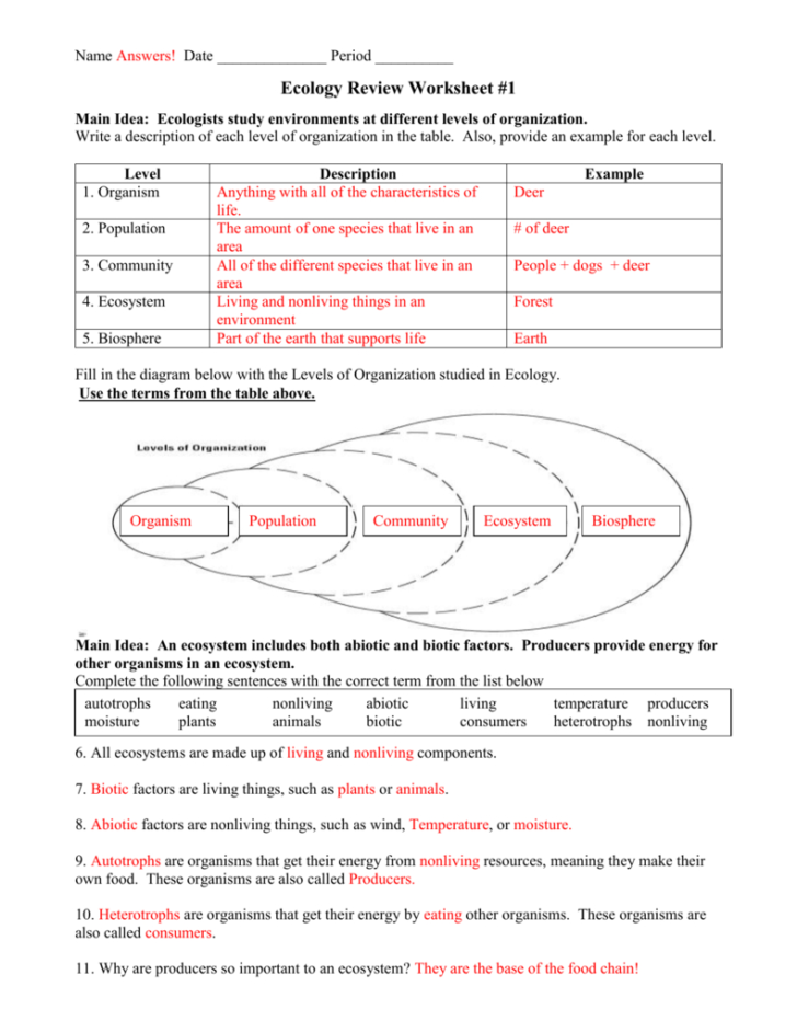 3 2 Energy Producers And Consumers Worksheet Answer Key