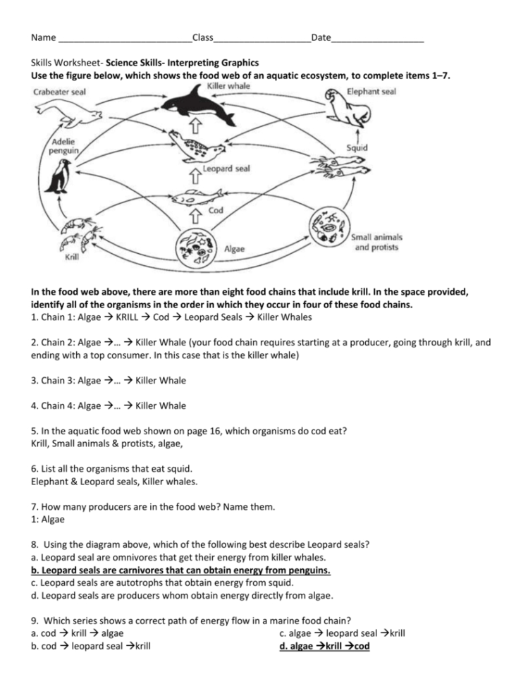 Food Webs And Food Chains Worksheet Answers Pdf